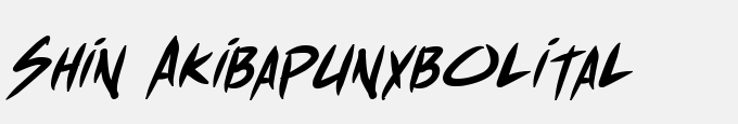 Shin Akiba Punx Bold Italic
